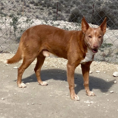 WhatsApp Image 2026-04-06 at 10.50.32 (6)