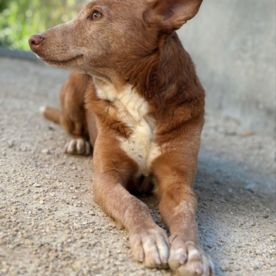 WhatsApp Image 2026-04-06 at 10.50.33 (1)