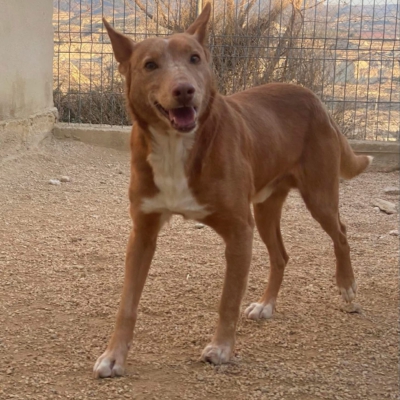 WhatsApp Image 2026-04-06 at 10.50.33