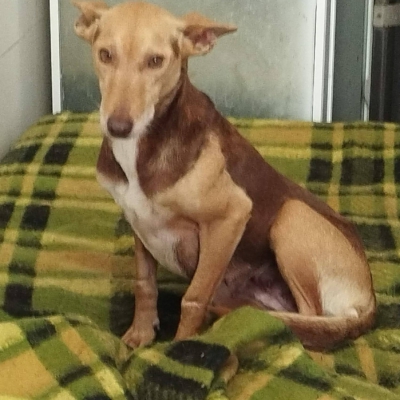 WhatsApp Image 2026-04-08 at 19.39.04 (1)