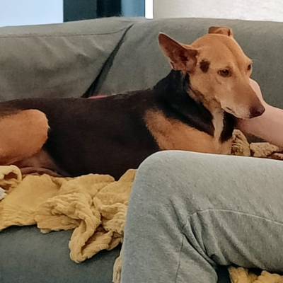 WhatsApp Image 2026-04-08 at 19.39.04 (2)