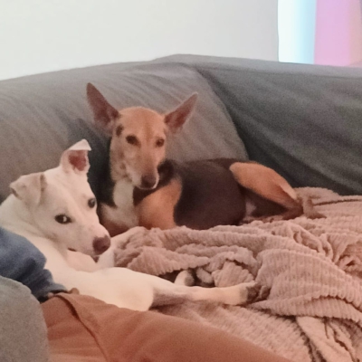 WhatsApp Image 2026-04-08 at 19.39.04 (3)