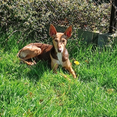 WhatsApp Image 2026-04-08 at 19.39.04 (4)