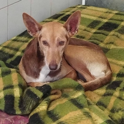 WhatsApp Image 2026-04-08 at 19.39.04