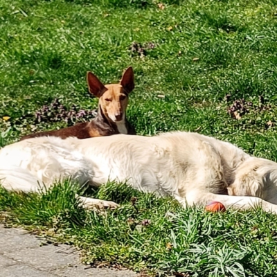 WhatsApp Image 2026-04-08 at 19.39.04 (5)