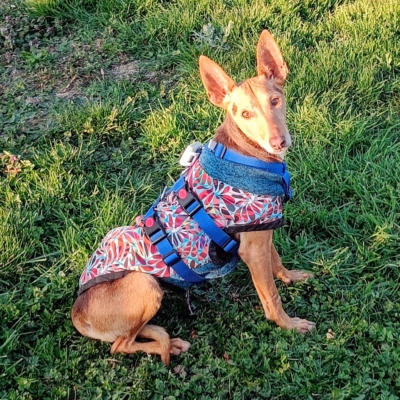 WhatsApp Image 2026-04-08 at 19.39.04 (7)