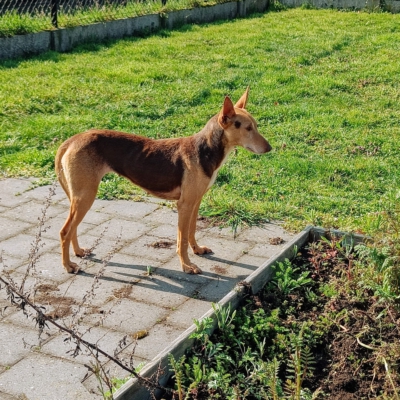 WhatsApp Image 2026-04-08 at 19.39.06 (1)