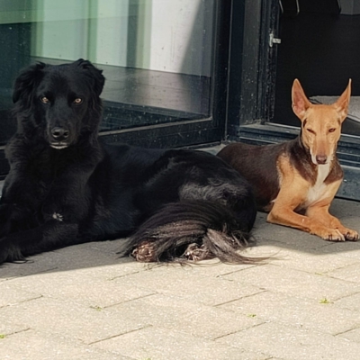 WhatsApp Image 2026-04-08 at 19.39.06 (2)