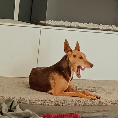 WhatsApp Image 2026-04-08 at 19.39.06 (3)