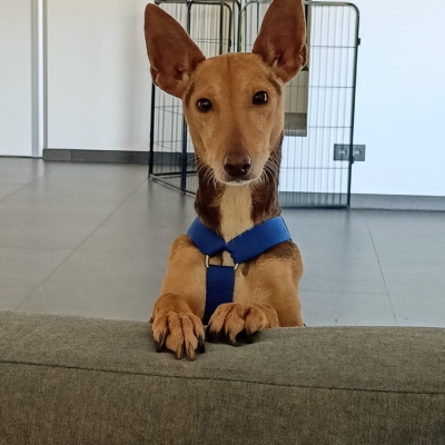 WhatsApp Image 2026-04-08 at 19.39.06