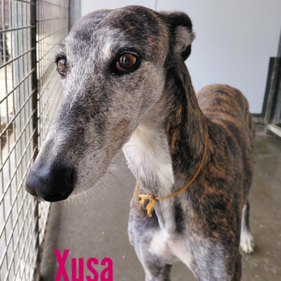 WhatsApp Image 2026-04-09 at 20.56.45