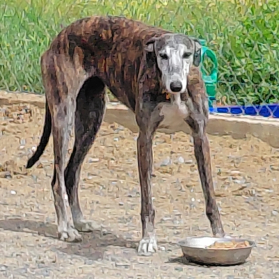 WhatsApp Image 2026-04-09 at 20.56.46-2