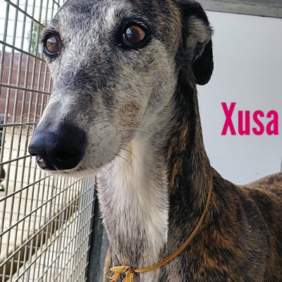 WhatsApp Image 2026-04-09 at 20.56.46-3