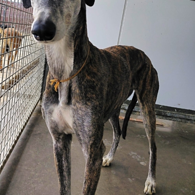 WhatsApp Image 2026-04-09 at 20.56.46