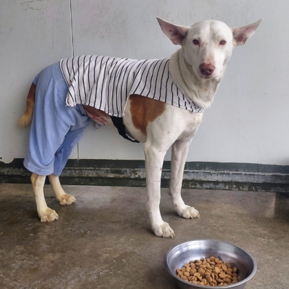 WhatsApp Image 2026-04-09 at 20.57.02