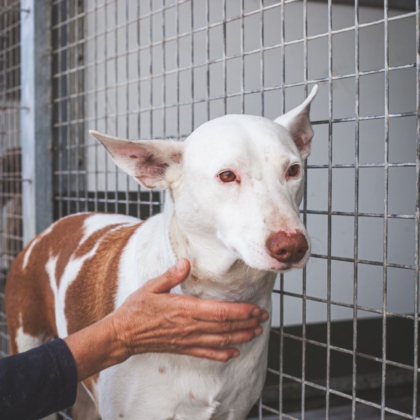 WhatsApp Image 2026-04-10 at 09.01.23