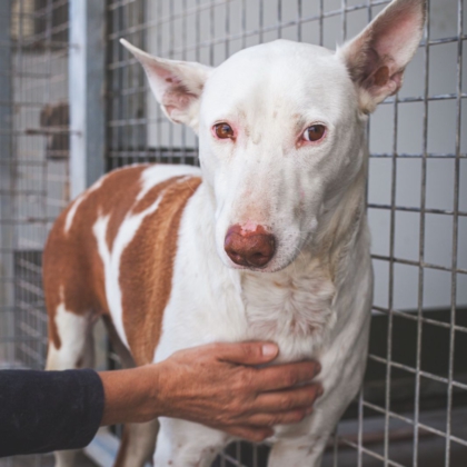 WhatsApp Image 2026-04-10 at 09.01.24-2