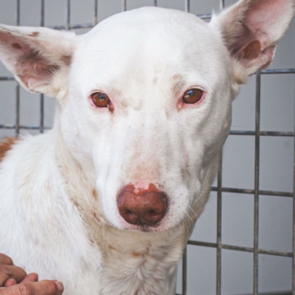 WhatsApp Image 2026-04-10 at 09.01.24-3