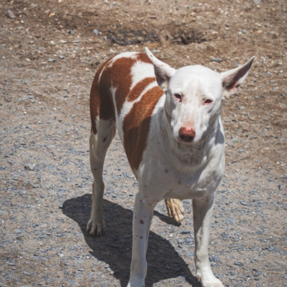 WhatsApp Image 2026-04-10 at 09.01.24-4