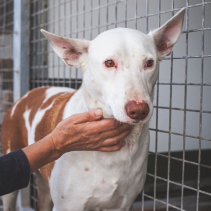 WhatsApp Image 2026-04-10 at 09.01.24