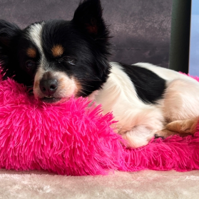 WhatsApp Image 2026-04-10 at 09.25.36 (1)