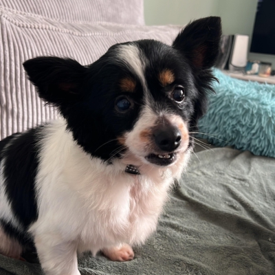 WhatsApp Image 2026-04-10 at 09.25.36-2