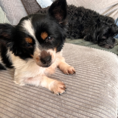 WhatsApp Image 2026-04-10 at 09.25.36 (2)