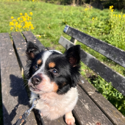 WhatsApp Image 2026-04-10 at 09.25.36 kopie