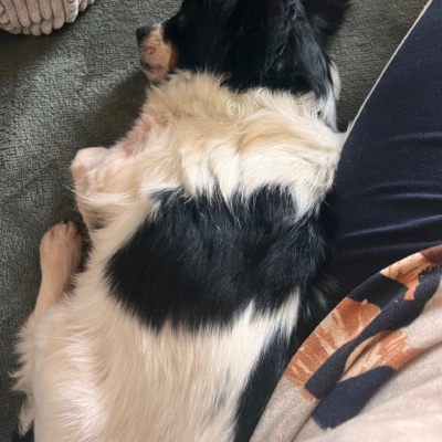 WhatsApp Image 2026-04-10 at 09.25.36