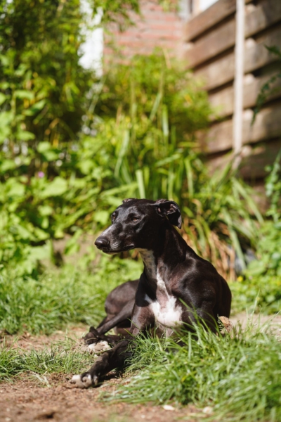 WhatsApp Image 2026-05-12 at 08.45.29 (4)