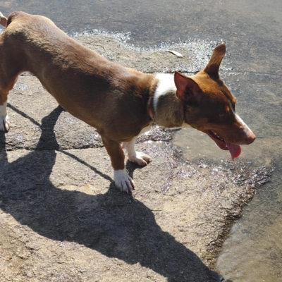 WhatsApp Image 2026-06-12 at 11.38.34 (3)