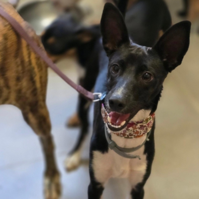 WhatsApp Image 2026-08-12 at 09.15.04
