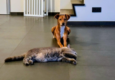 WhatsApp Image 2026-08-15 at 17.17.11 (2)