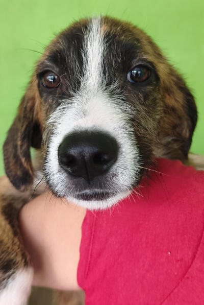 WhatsApp Image 2026-10-18 at 13.13.03