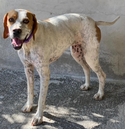 WhatsApp Image 2026-10-24 at 21.42.42